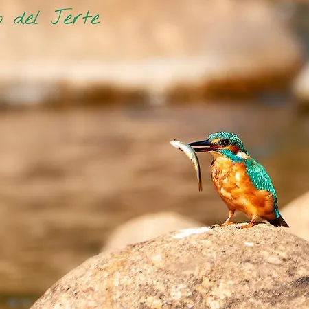 Molino Del Jerte *